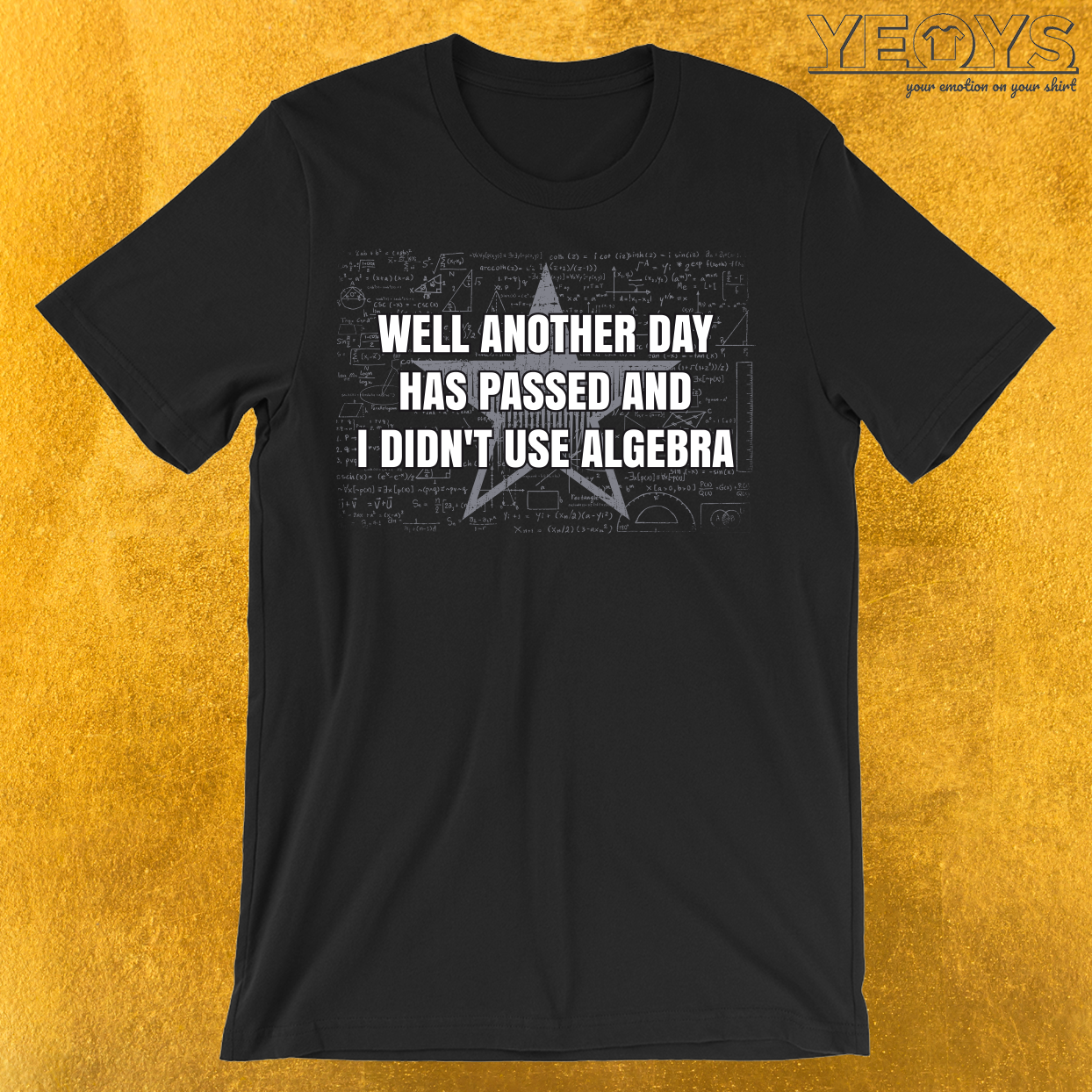 Another Day Has Passed Algebra T-Shirt