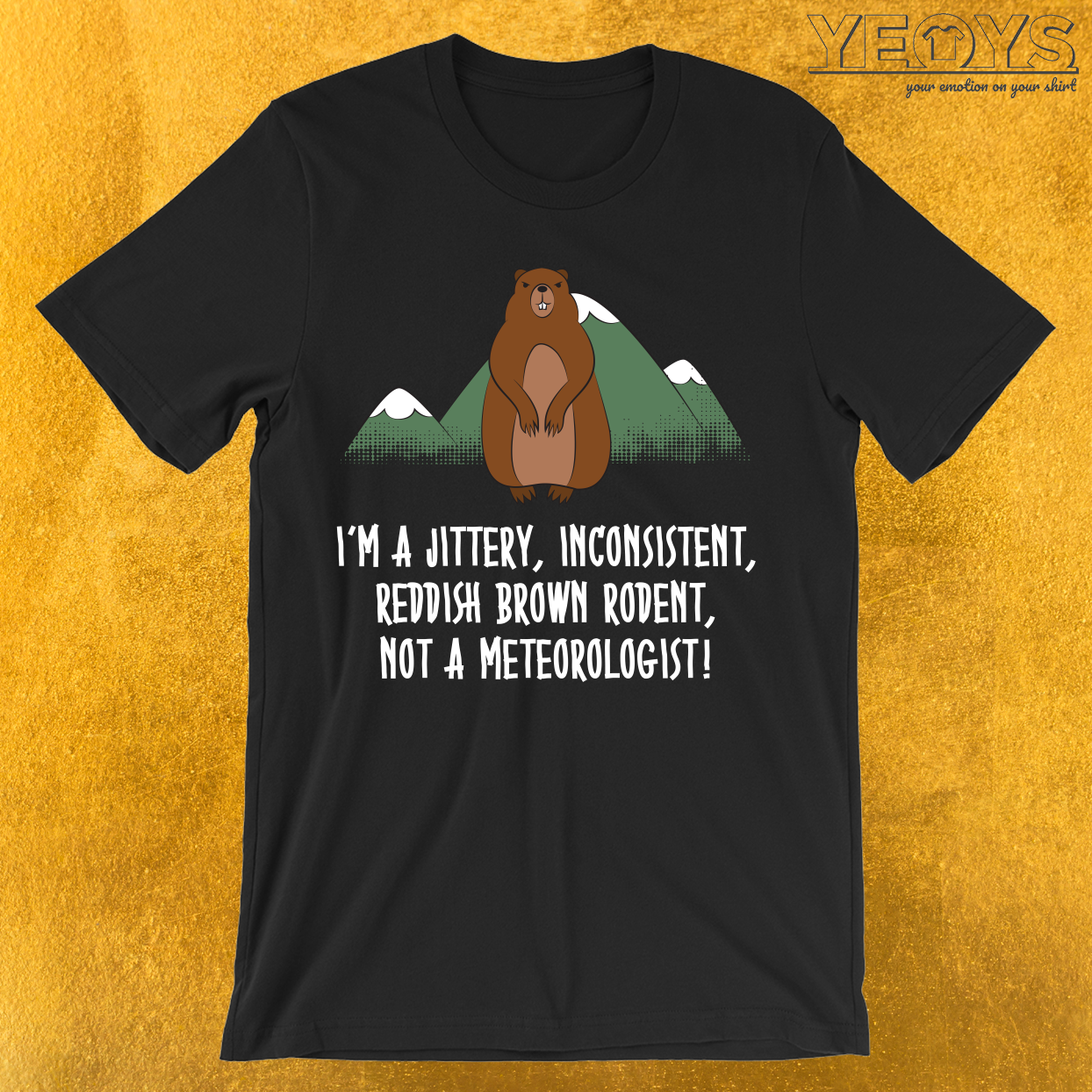 I’m A Rodent Not A Meteorologist T-Shirt